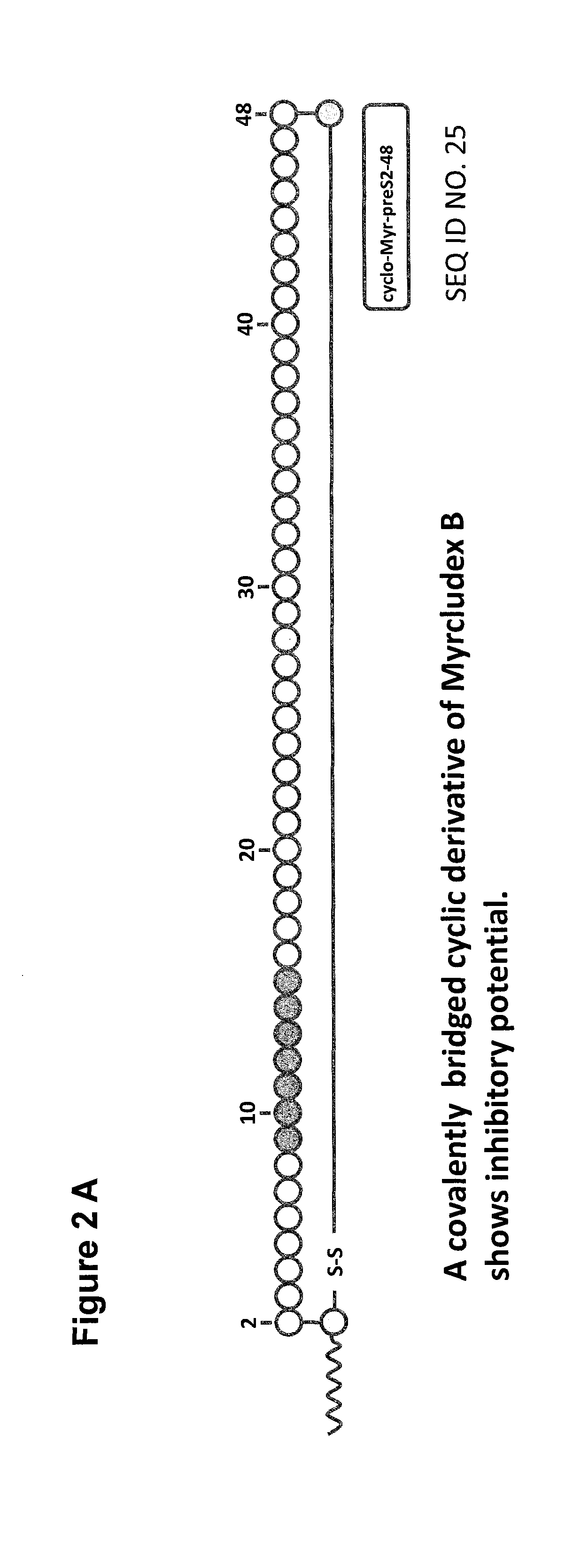 Cyclic ntcp-targeting peptides and their uses as entry inhibitors
