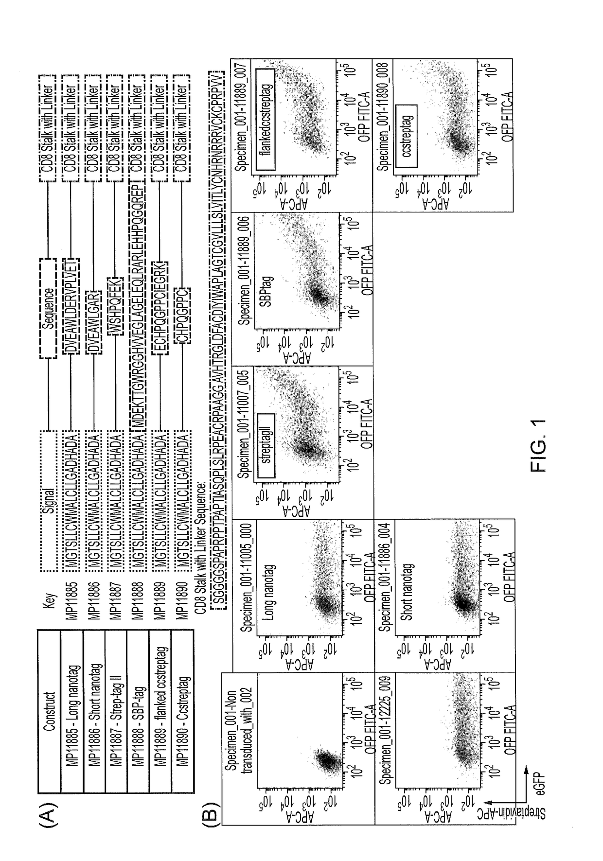 Method and means for purifying retroviral vectors