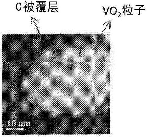 Carbon-coated vanadium dioxide particles