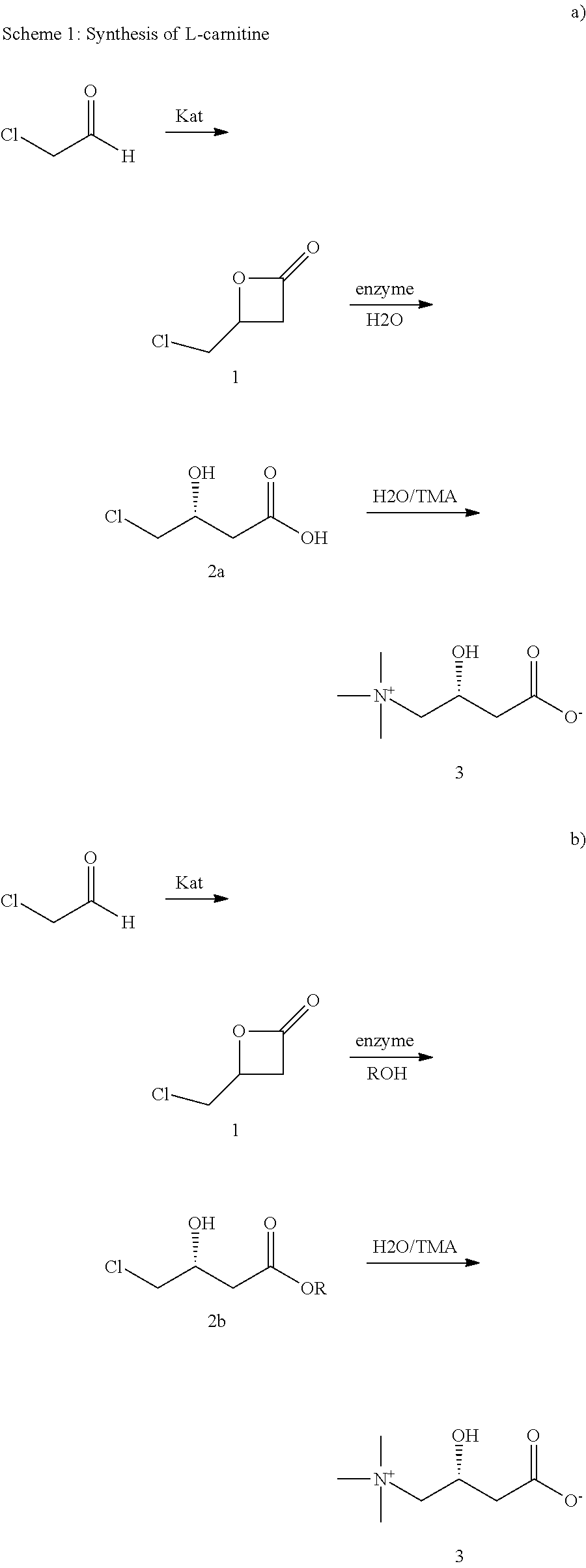 Process for the enzymatic production of carnitine from beta-lactones