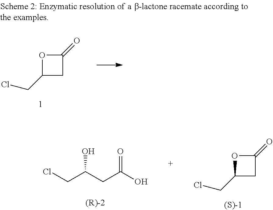 Process for the enzymatic production of carnitine from beta-lactones