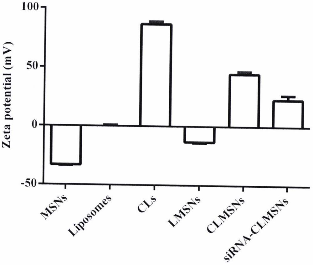 Preparation method of a cationic lipid-mesoporous silicon composite nanocarrier co-loading siRNA and chemotherapy drugs