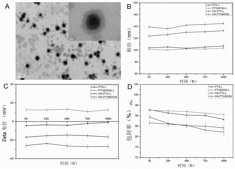 A kind of hyaluronic acid modified mitochondria targeting liposome and preparation method thereof