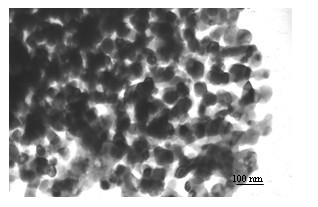 Method for preparing SrZr03:Ce nanometer powder with composite coprecipitator
