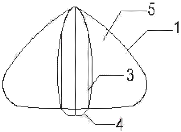 Air floating aircraft with variable configuration