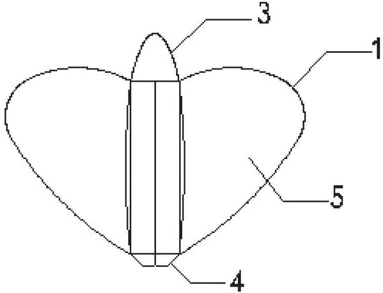 Air floating aircraft with variable configuration