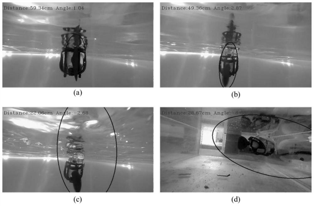 Vision-based underwater cluster neighbor tracking measurement method