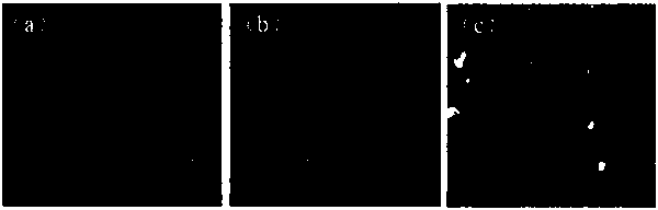 White carbon black dispersant for rubber and preparation method of white carbon black dispersant