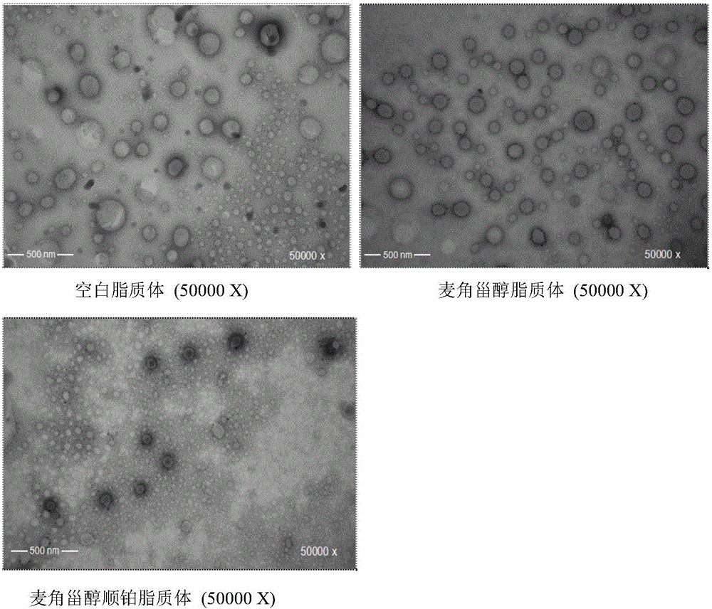 Preparation method of RGD peptide and penetrating peptide R8 co-modified ergosterol and cis-platinum active drug-loading liposome