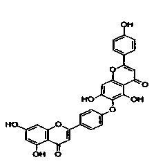 Method for extracting hinokiflavone from Cacumen Biotae