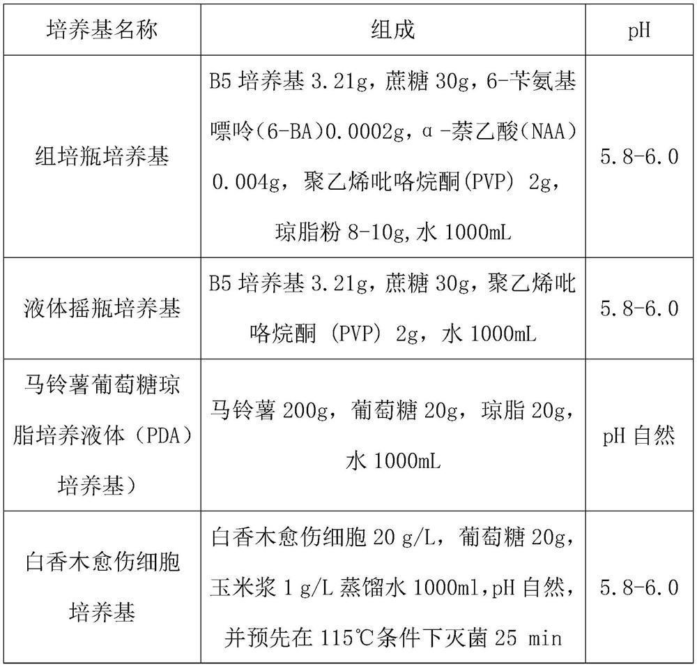 Method for producing agilawood by utilizing plant cell culture fermentation and application of agilawood in cosmetics