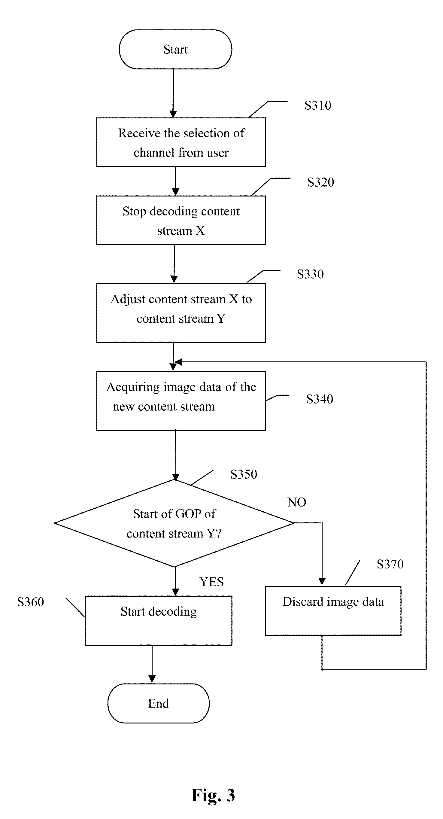 Method and Apparatus for Processing Video Stream in a Digital Video Broadcasting System