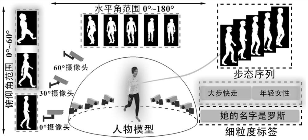 Gait data set synthesis method oriented to complex scene fine-grained attribute driving