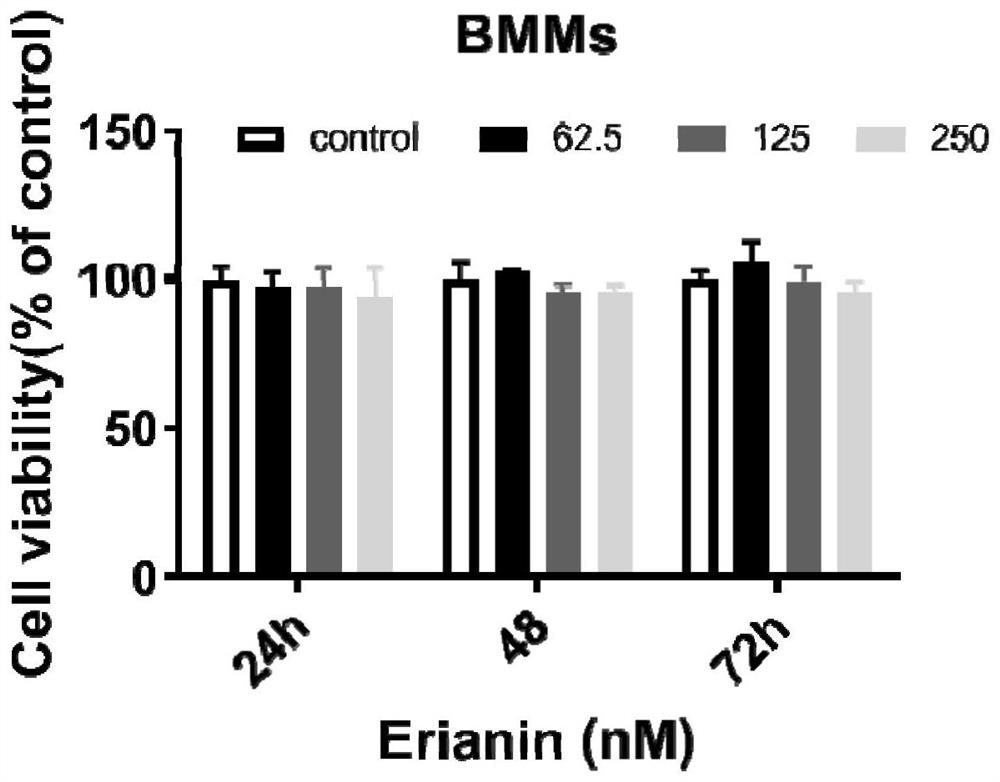 Application of erianin in preparation of osteoclast differentiation inhibitor