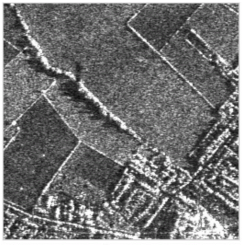 Transform domain non local and minimum mean square error-based SAR (Synthetic Aperture Radar) image denoising method