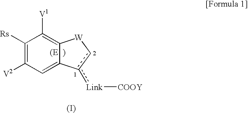 Substituted bicyclic derivatives and use thereof