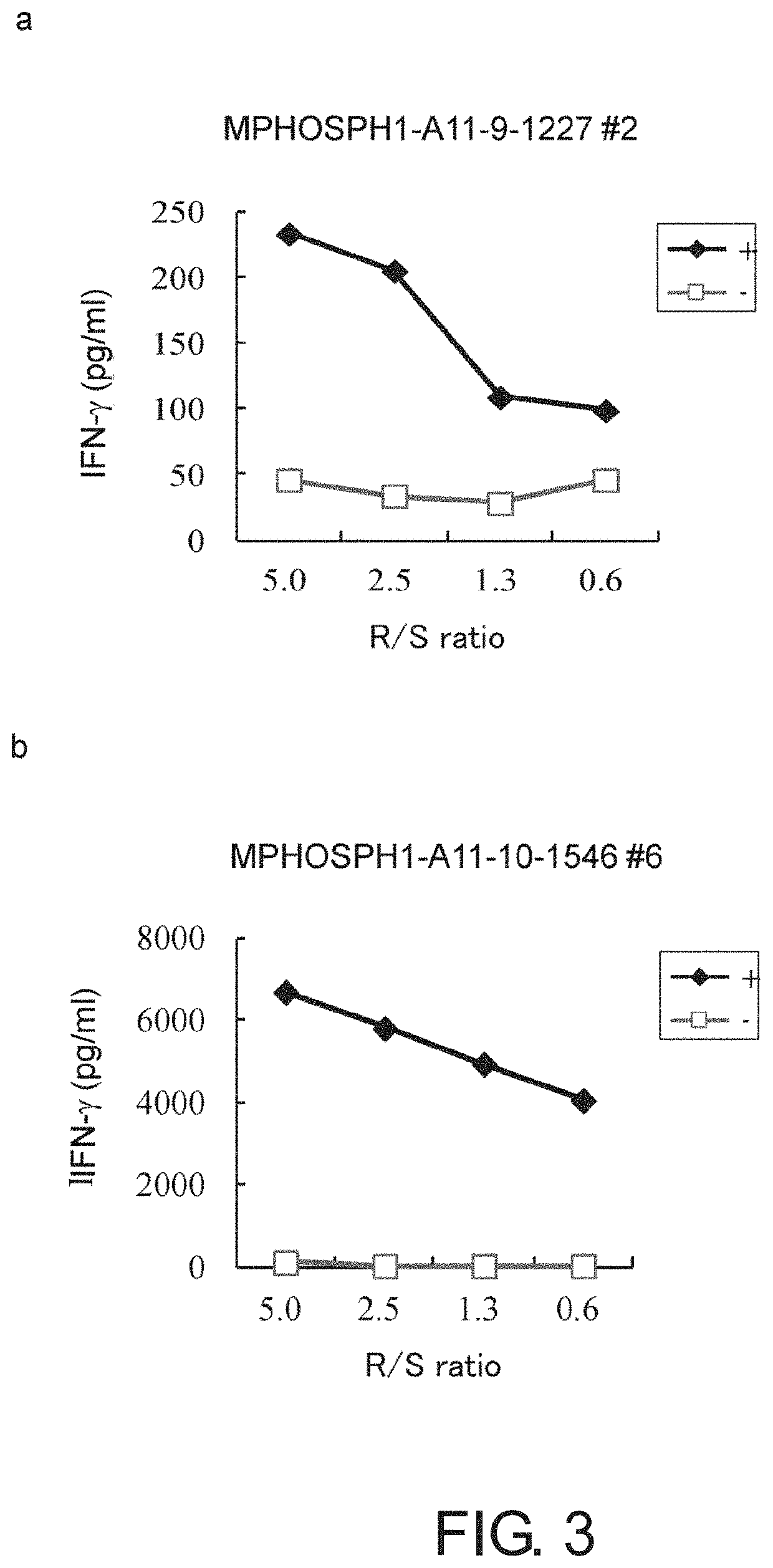 MPHOSPH1-derived peptide, and vaccine including same