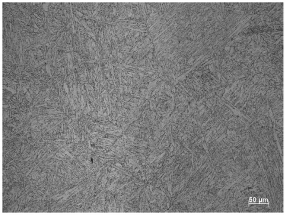 Martensite heat-resistant steel material and preparation method thereof