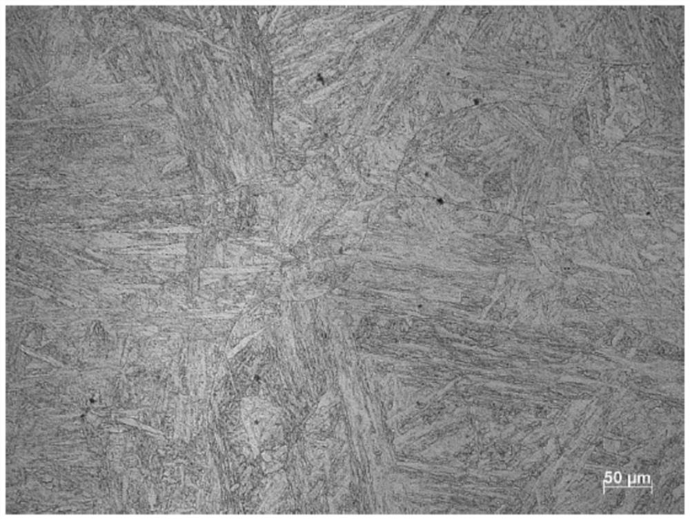 Martensite heat-resistant steel material and preparation method thereof