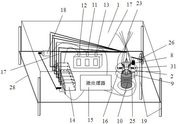 Preventive detection apparatus and method for fungal diseases of crops based on micro-fluidic chip