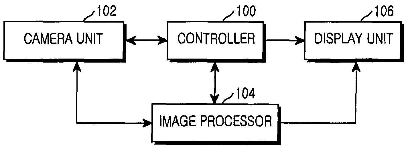 Apparatus and method for photographing a business card in portable terminal