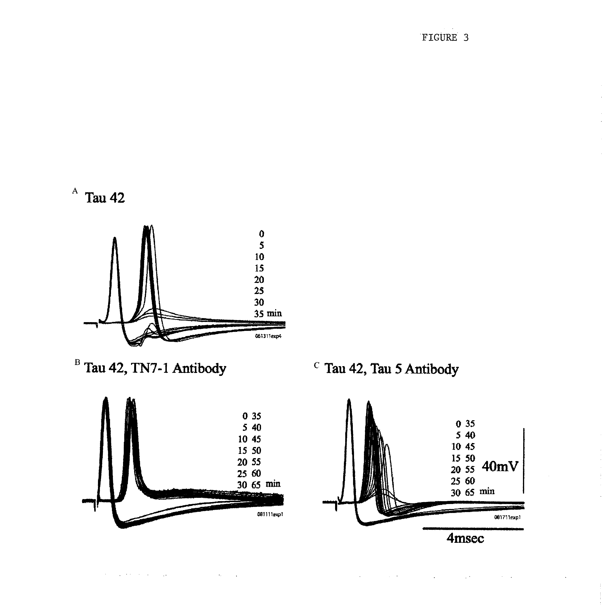 Methods for treating neurodegenerative diseases and for identifying agents useful for treating neurodegenerative diseases