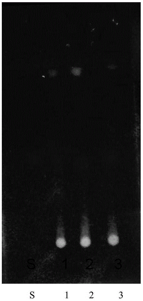 Medicated leaven thin-layer chromatography detecting method