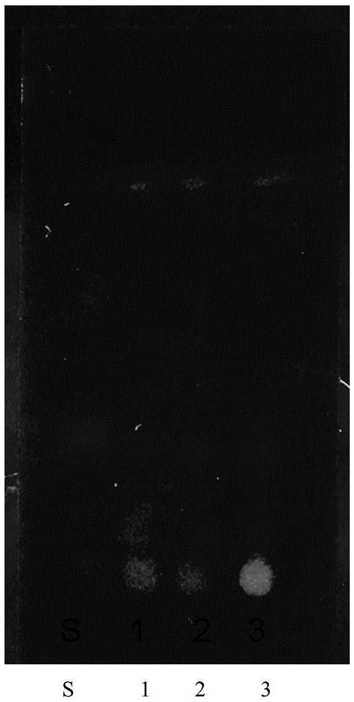 Medicated leaven thin-layer chromatography detecting method