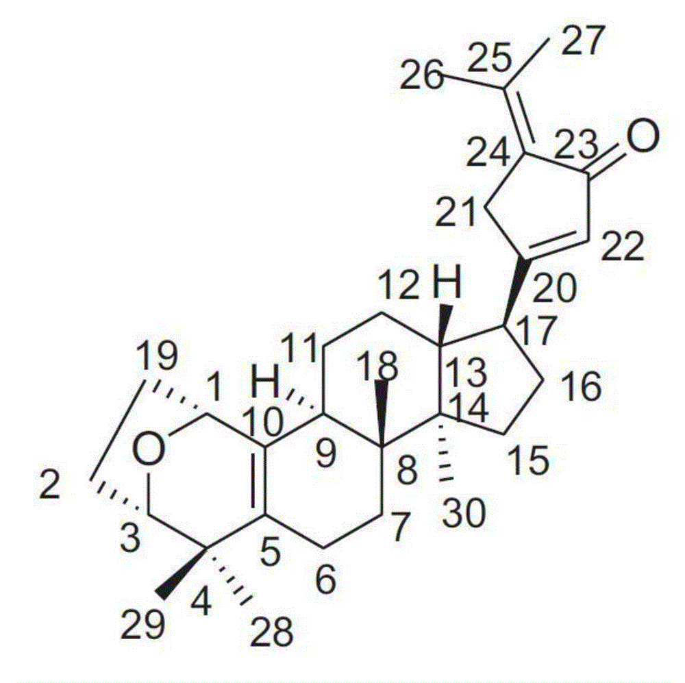 Application of Gypensapogenin B in medicaments for treating rhinitis