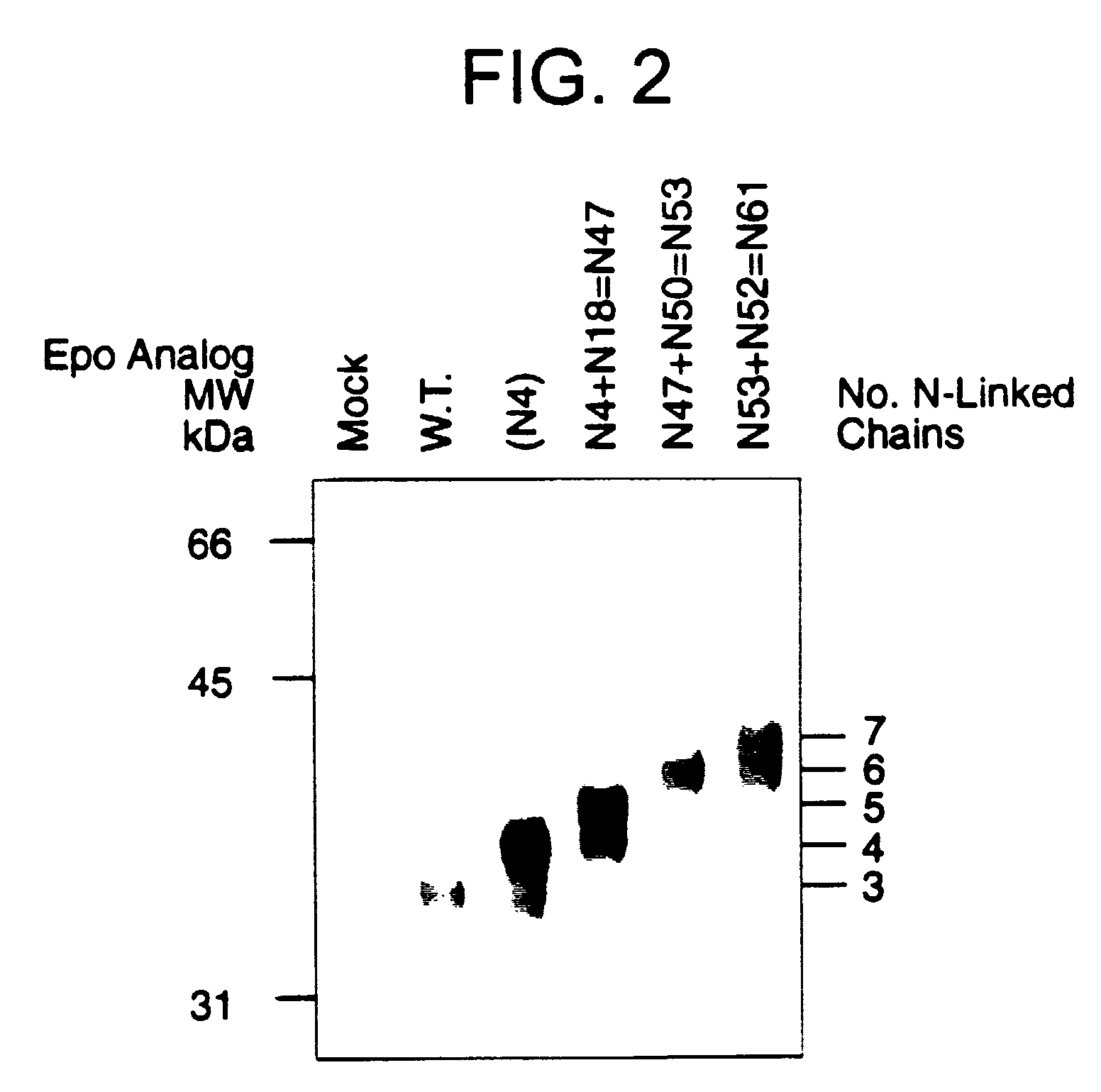 Methods and compositions for the prevention and treatment of anemia