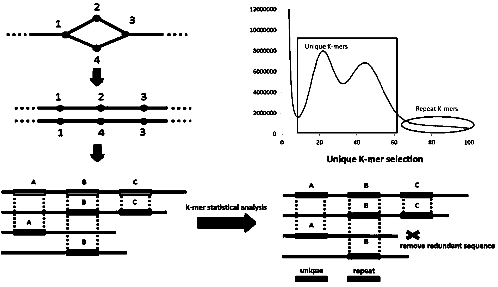 Heterozygous genome processing method
