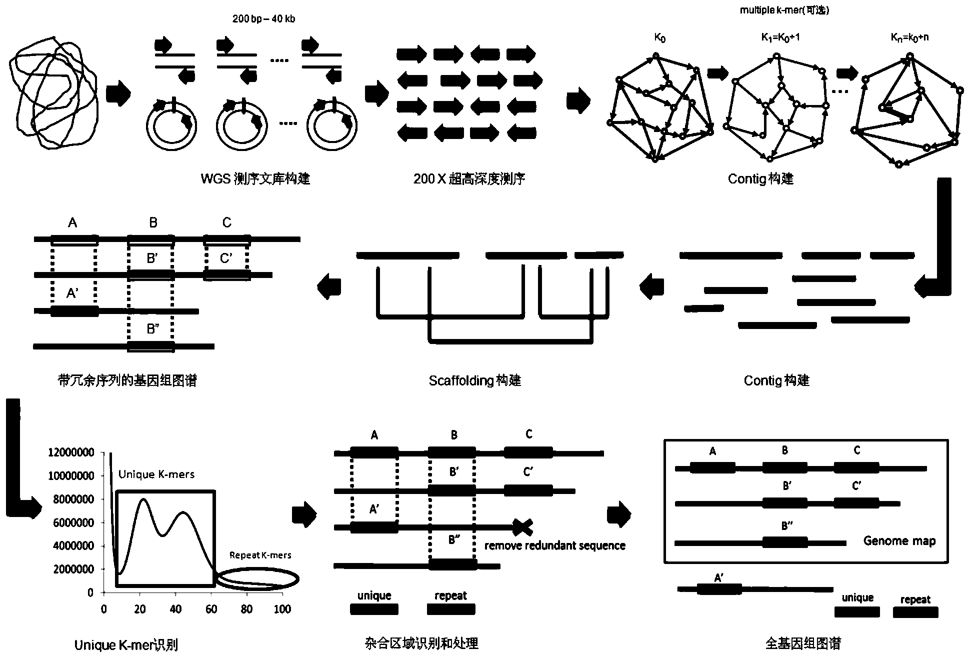 Heterozygous genome processing method
