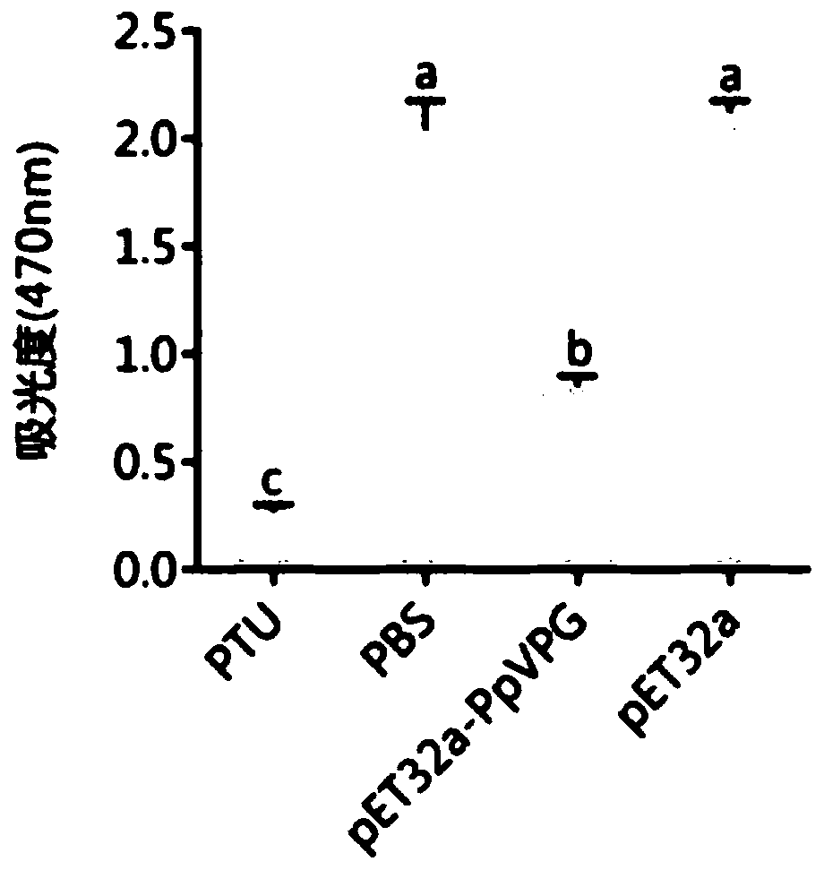 Pteromalus puparum venom protein PpVPG and application thereof