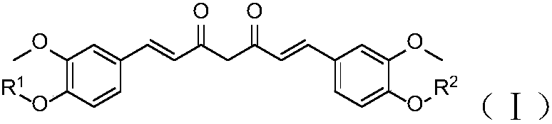 Curcumin derivative and uses thereof