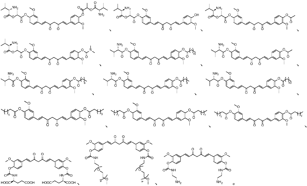 Curcumin derivative and uses thereof