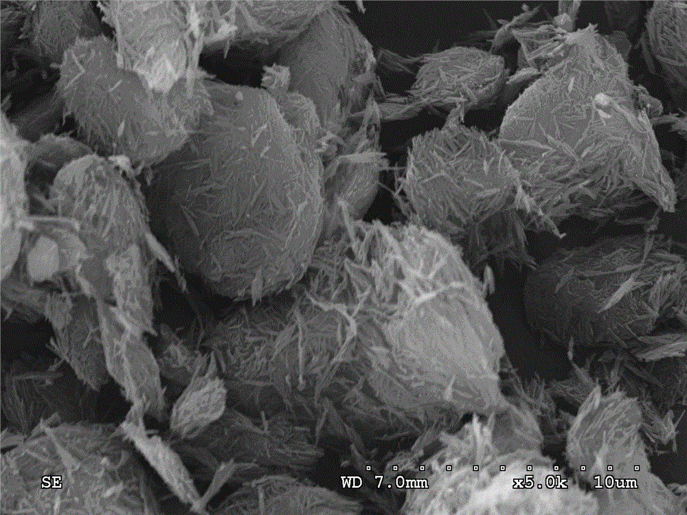 Micro-nano treatment method of fibrous clay