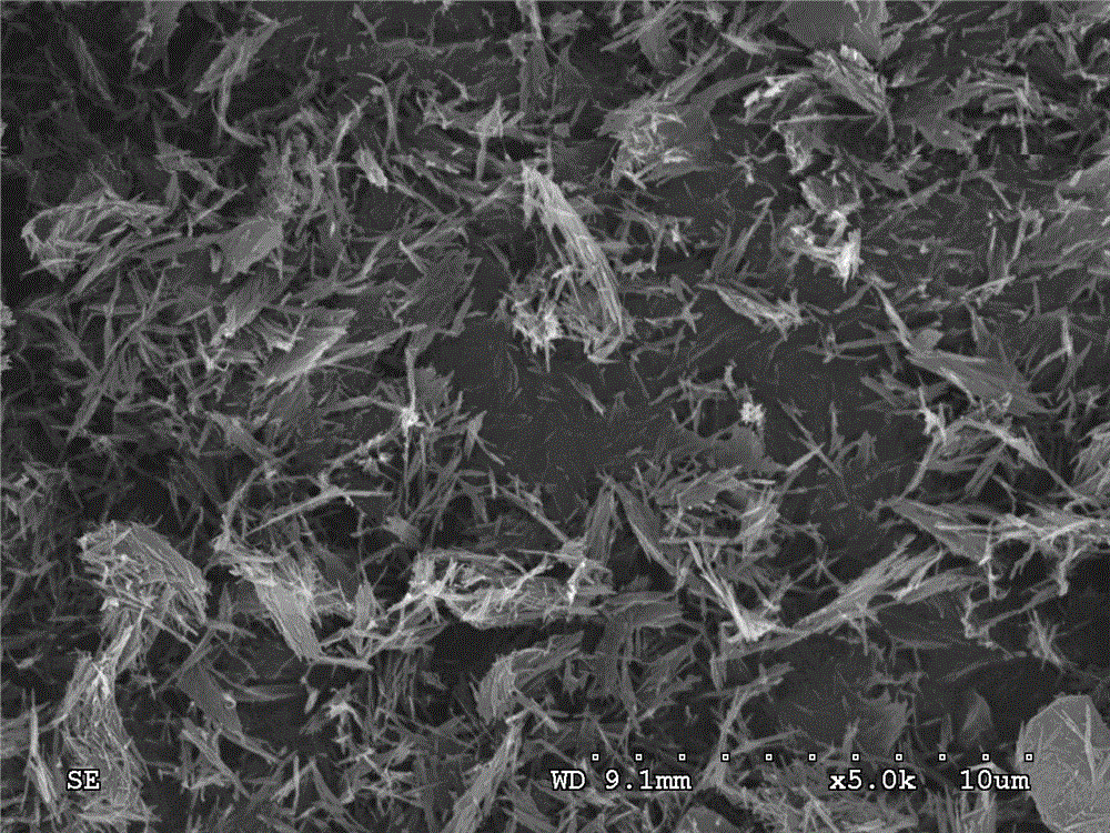 Micro-nano treatment method of fibrous clay