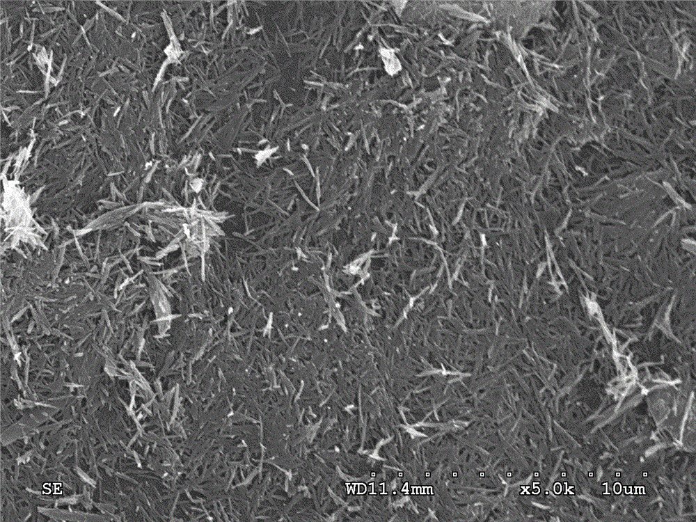 Micro-nano treatment method of fibrous clay