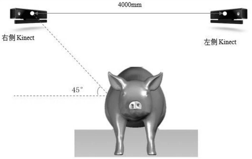 Pig body size parameter measuring method based on point cloud