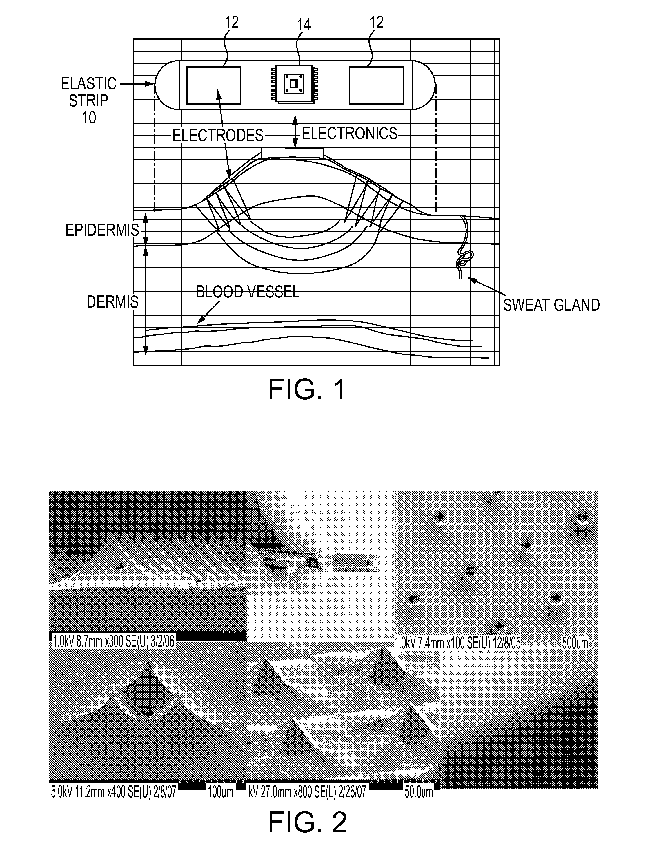 Apparatus and Method for Measuring Physiological Functions