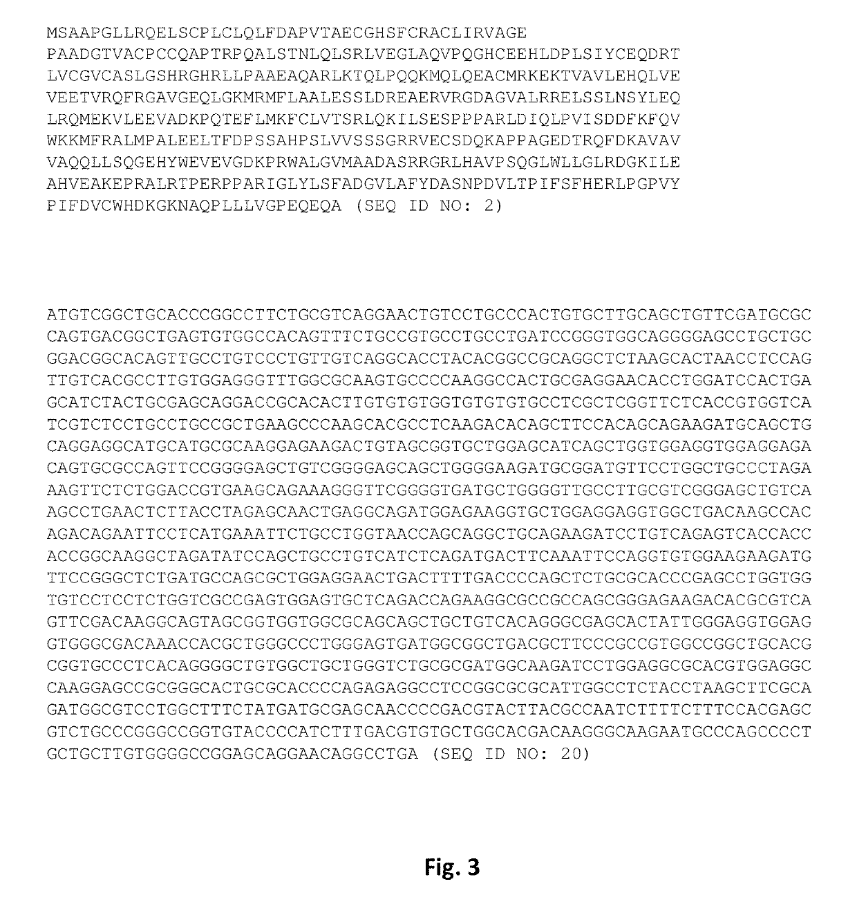 MG53 Mutants, Methods of Making the Same, and Uses Thereof