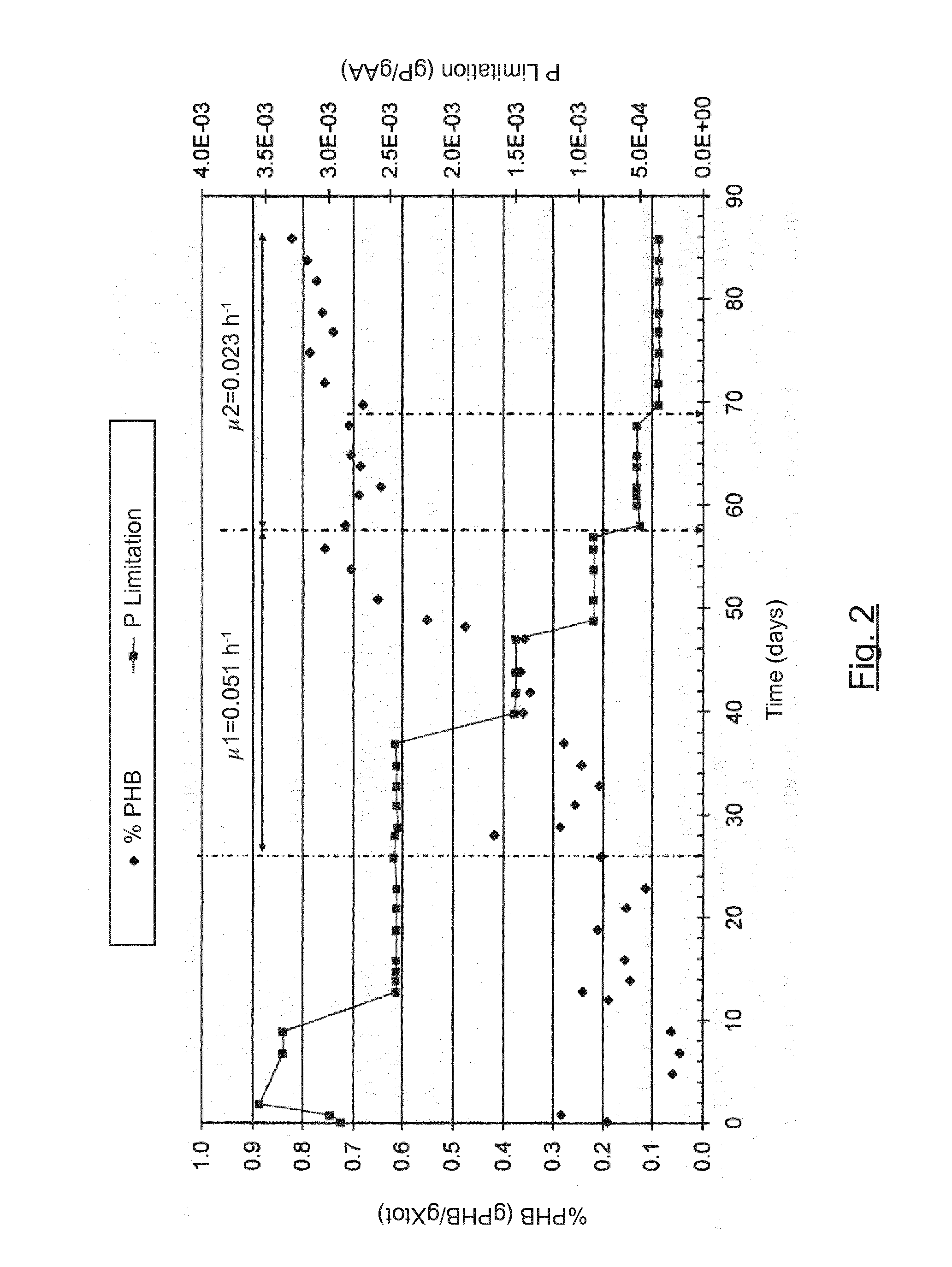 Method for producing polyhydroxyalkanoates by microorganisms