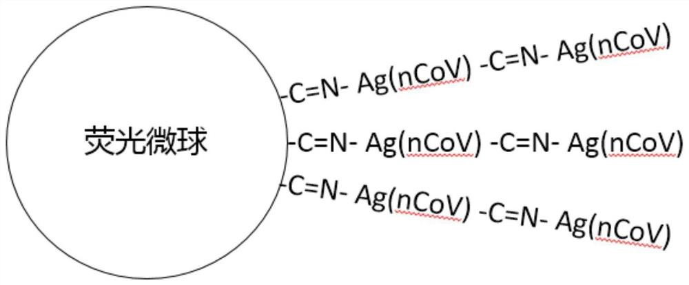 Method for maintaining antigen activity in antigen-fluorescent microsphere conjugate and application in novel coronavirus antibody chromatography detection reagent