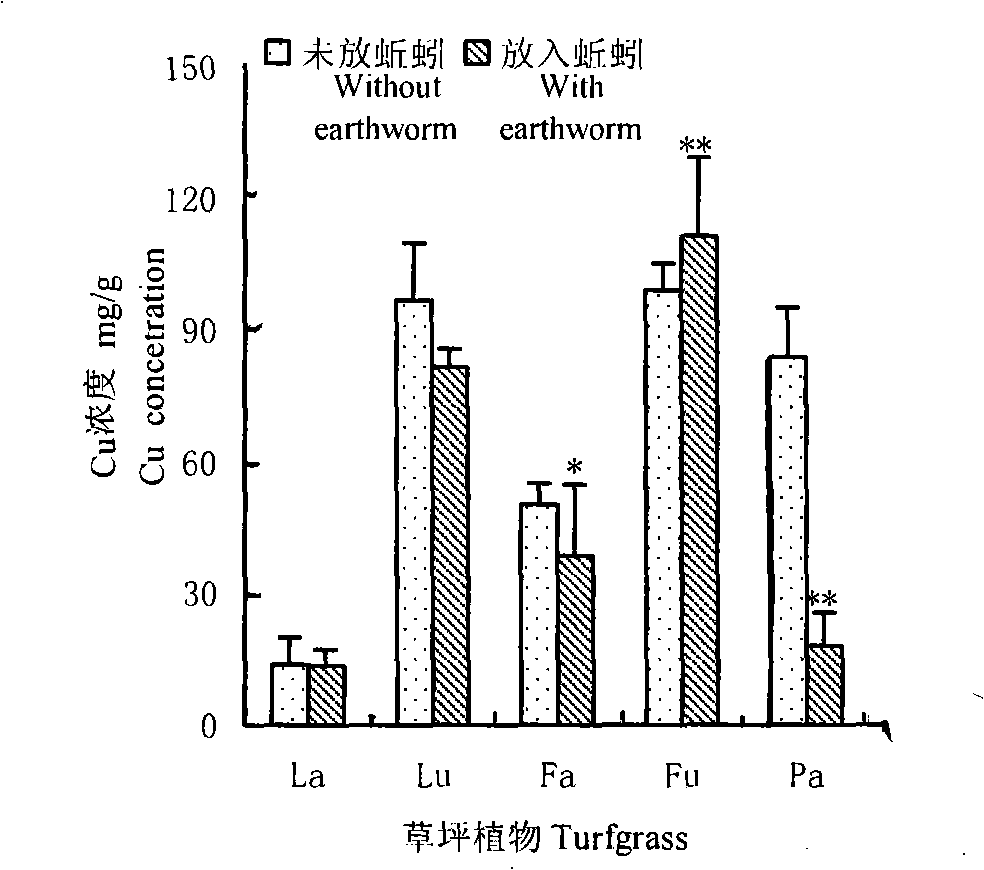 Method for promoting lawn absorb heavy metal from consumer garbage compost and increasing photosynthesis amount cooperated with angleworm
