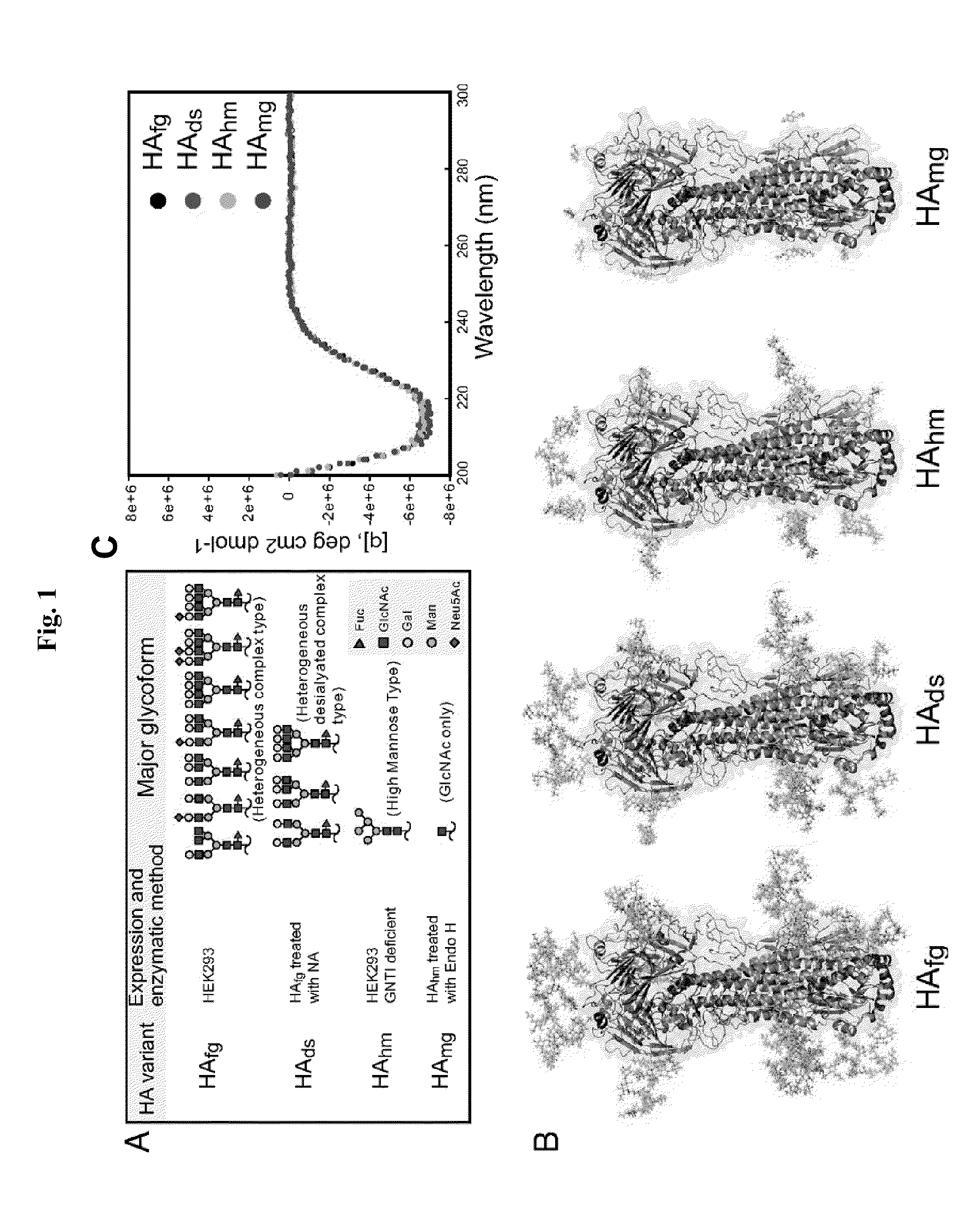 Methods and compositions for immunization against virus