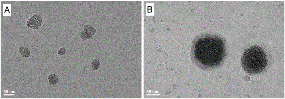 Tumor cell targeting mesoporous silicon nanometer assembly and preparation method for same