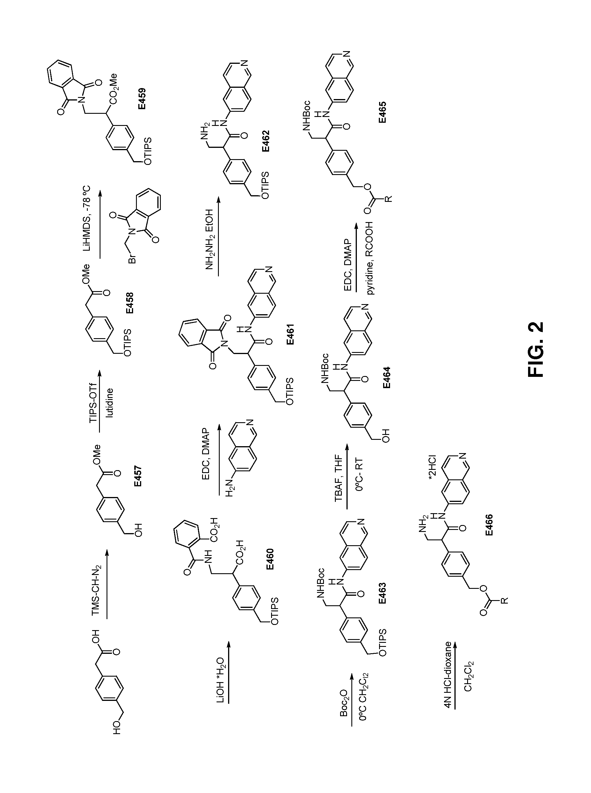Dual-action inhbitors and methods of using same