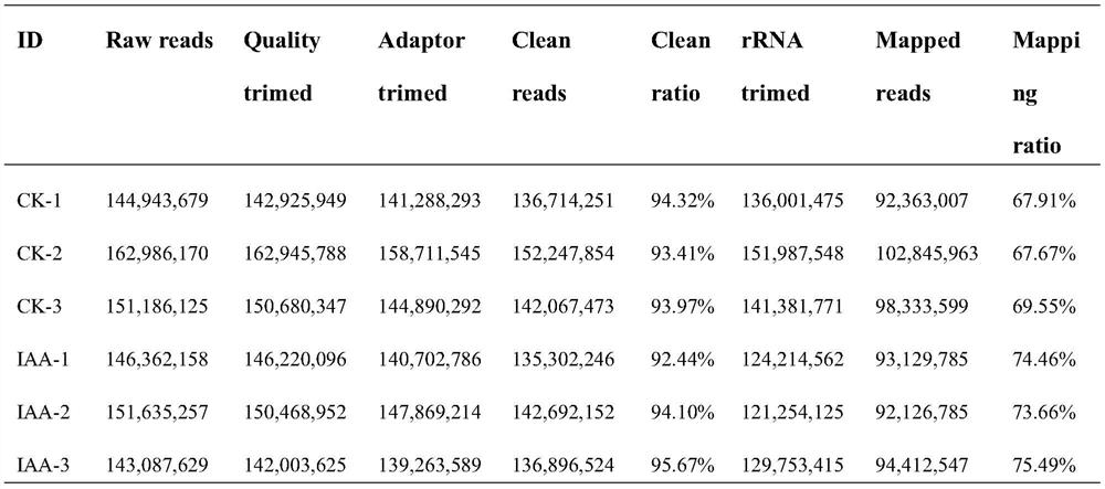 A method for high-throughput screening of differentially expressed genes in plant genomes