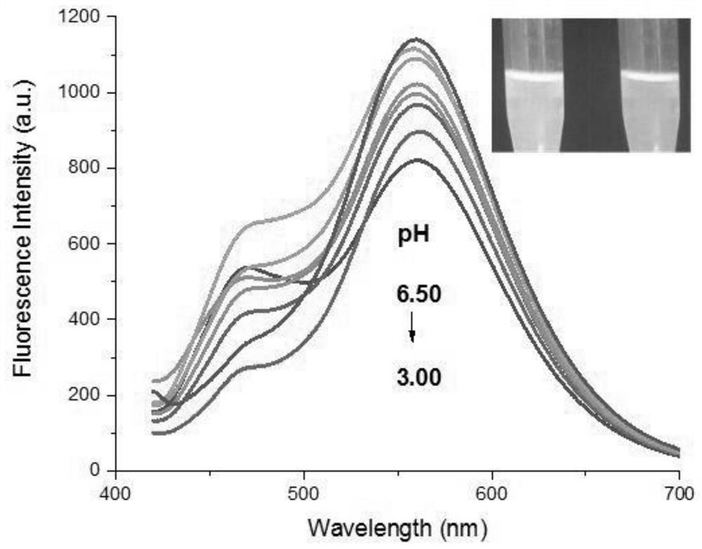 A kind of fluorescent probe for pH detection, its synthesis method and application