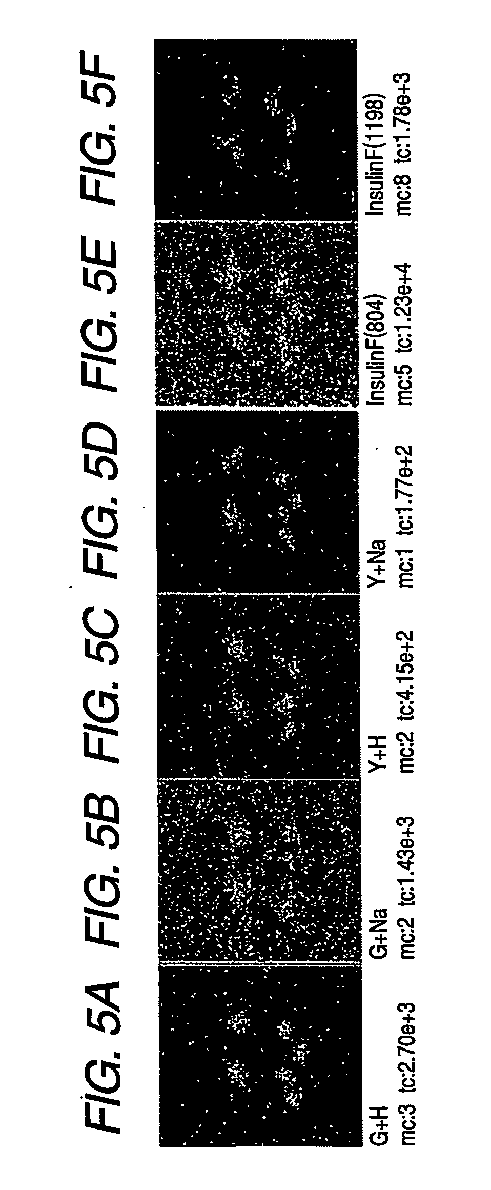 Test specimen and production thereof